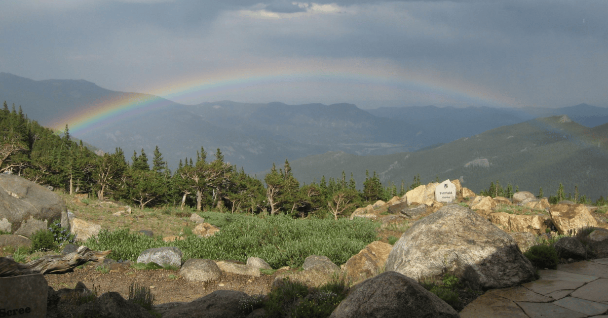 Rainbow over Mount Goliath Natural Area