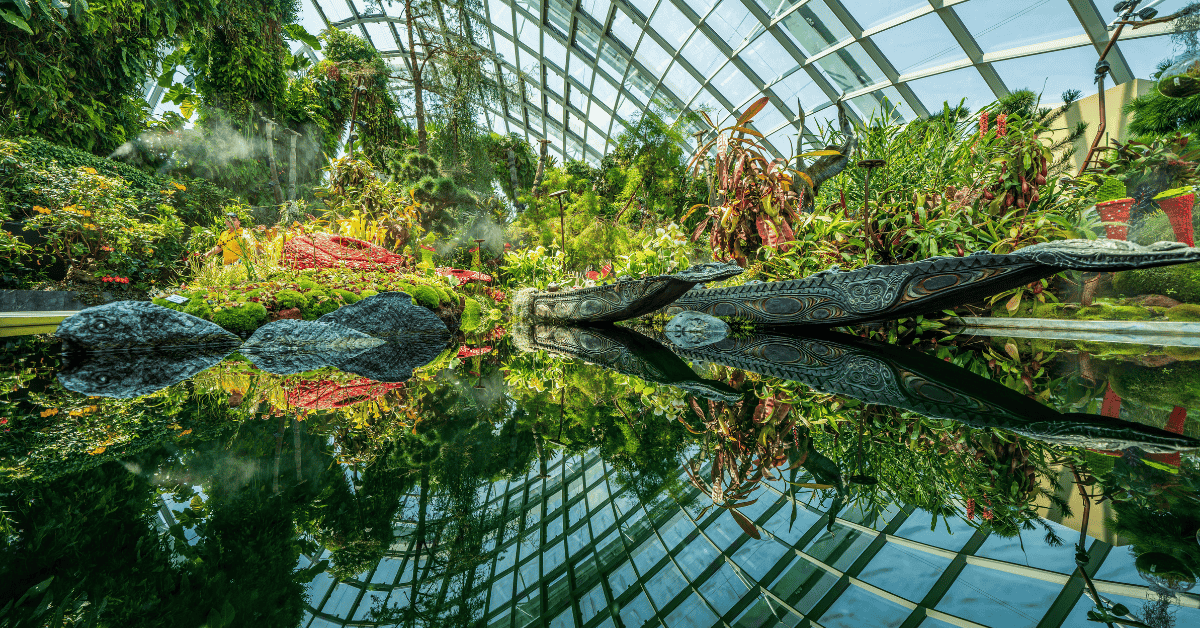 Cloud Forest in Singapore Botanic Gardens
