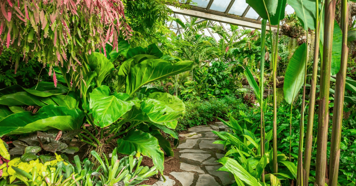 Chicago Botanic Garden