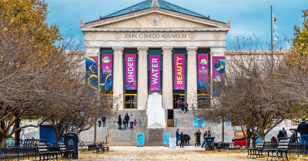 Chicago's Museum Campus - Shedd Aquarium