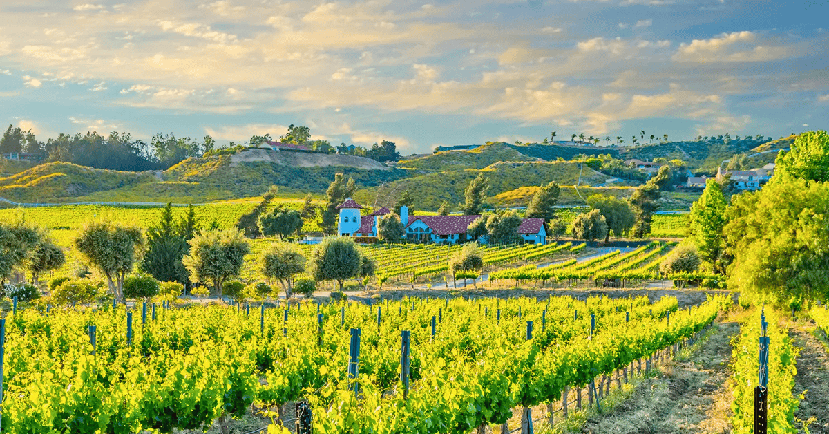 Temecula Wine Country