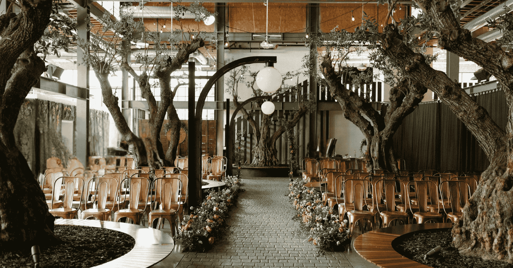 Live olive trees growing inside the event space at Venue 808