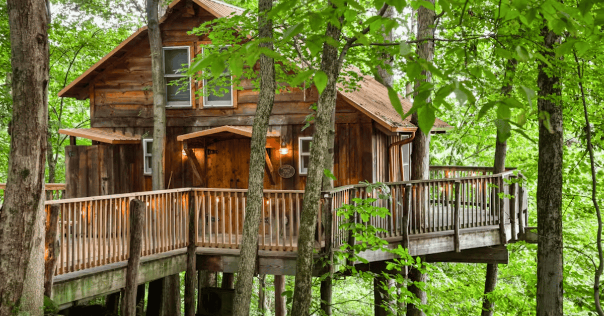 The Mohicans Treehouse Resort