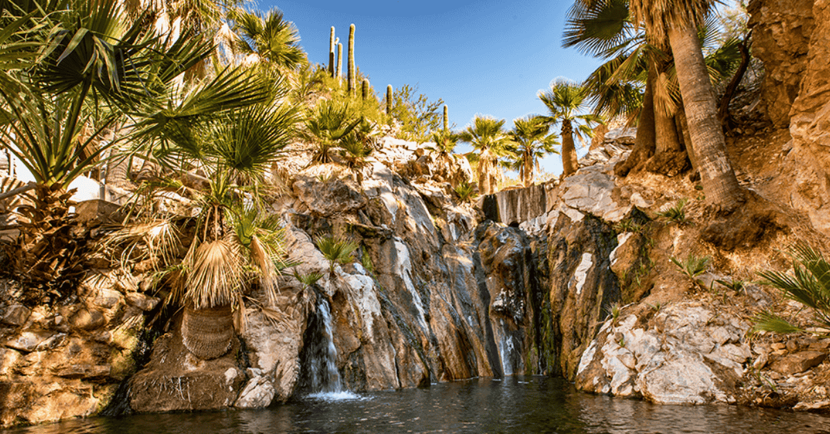Seminole Hard Rock Guitar Hotel