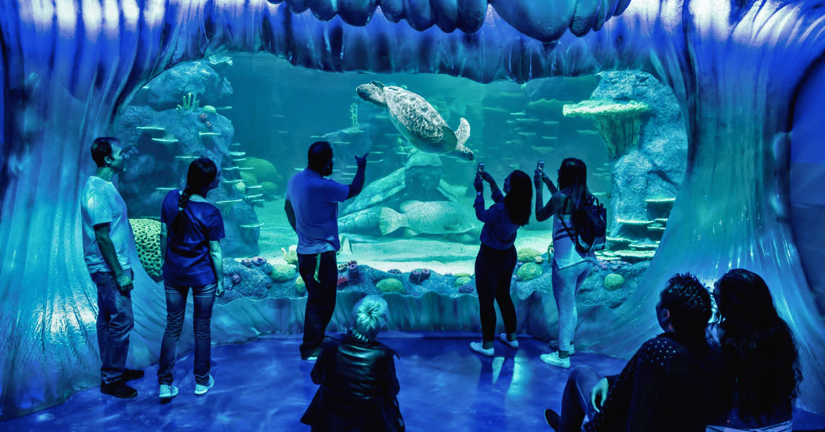 Darling Harbour aquarium