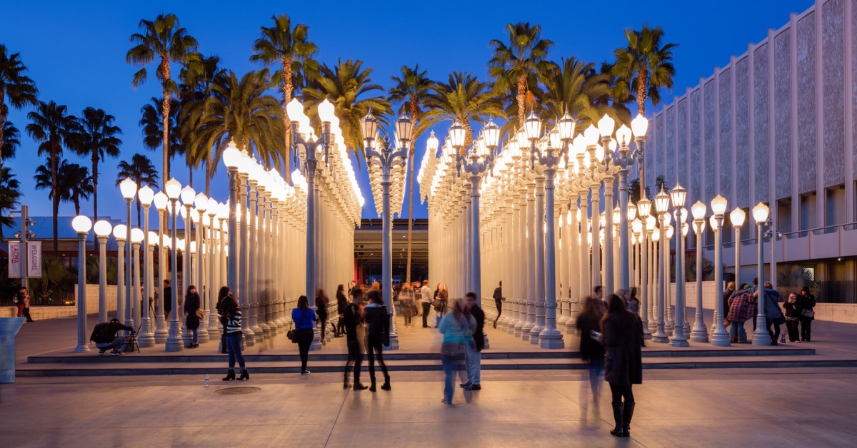 LACMA entrance palm trees and lamps in evening