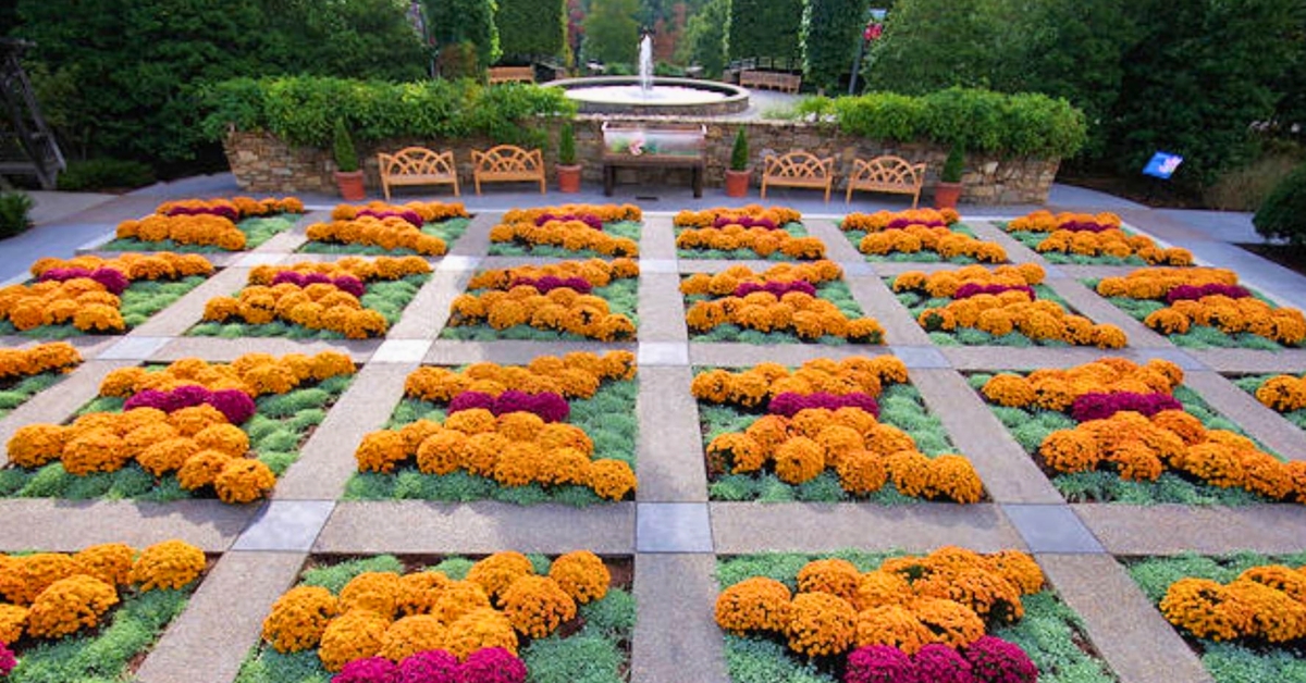 North Carolina Arboretum