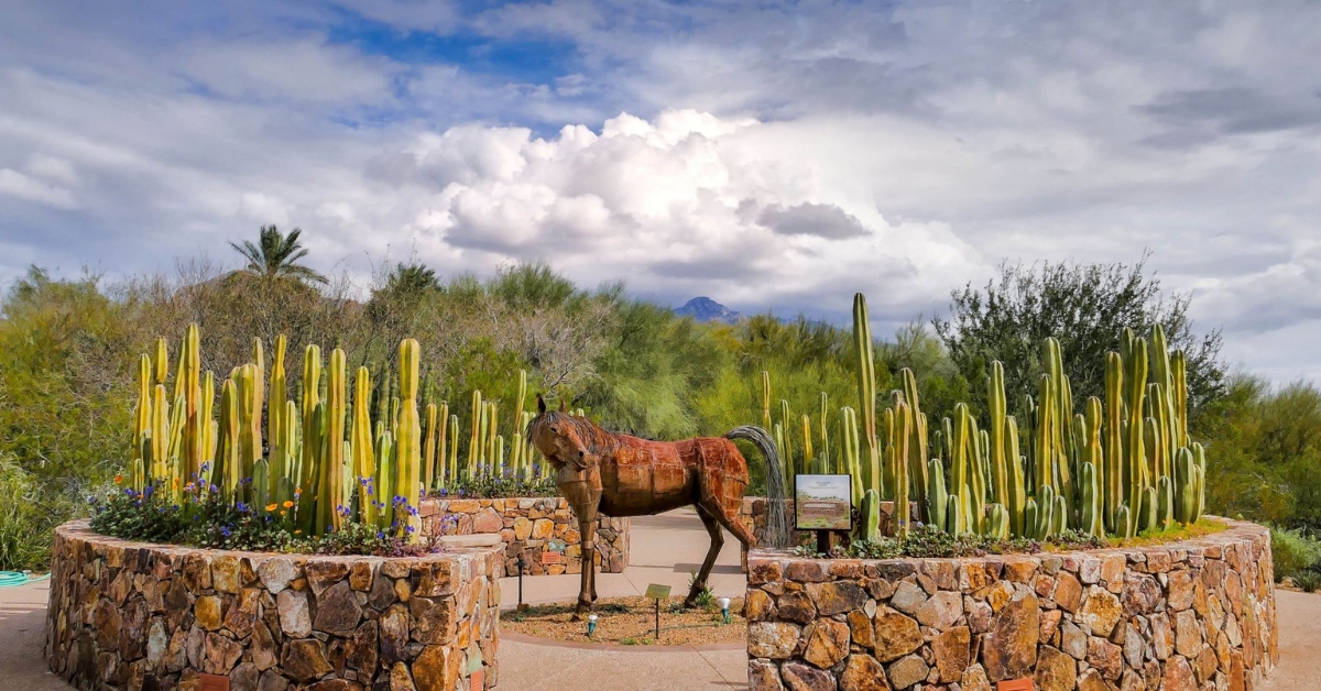 Tohono Chul
