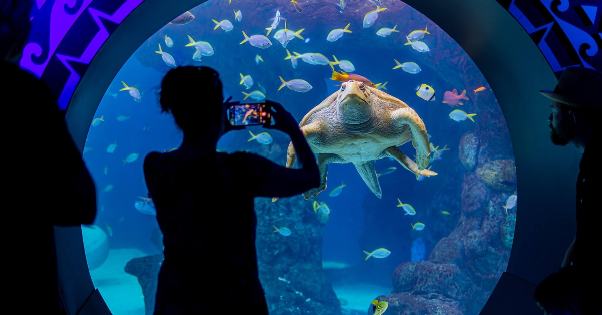 The Florida Aquarium