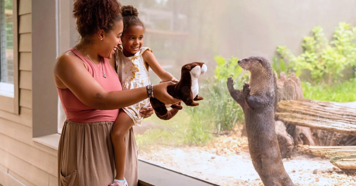 Zootampa At Lowry Park