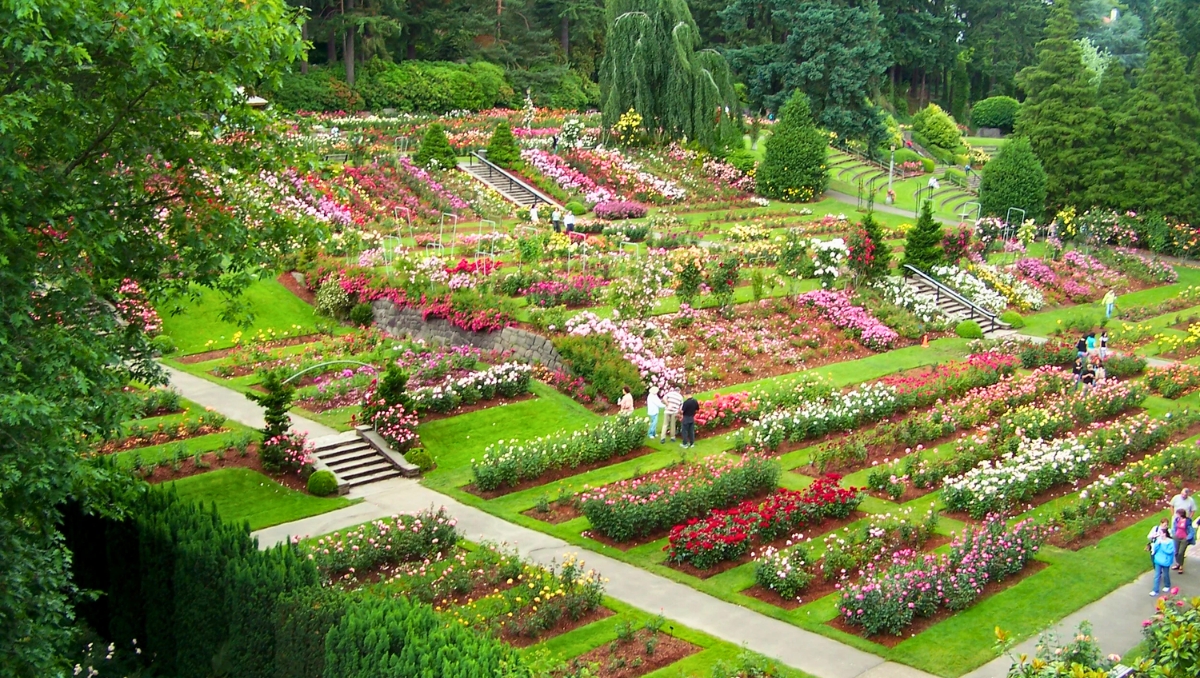 International Rose Test Garden